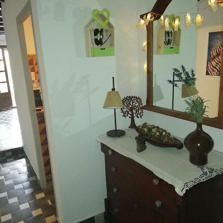 Can Cactus Гаригея Екстериор снимка