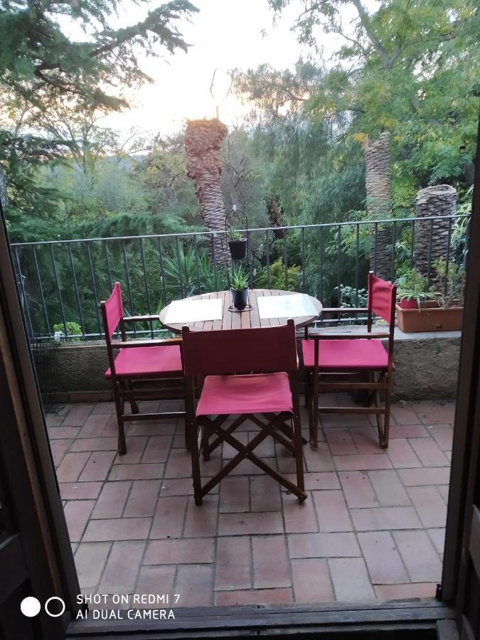 Can Cactus Гаригея Екстериор снимка