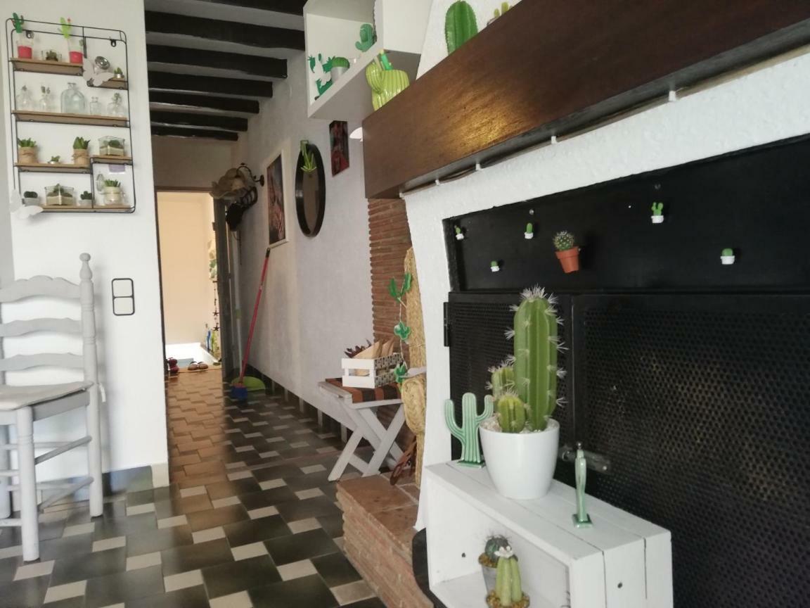 Can Cactus Гаригея Екстериор снимка