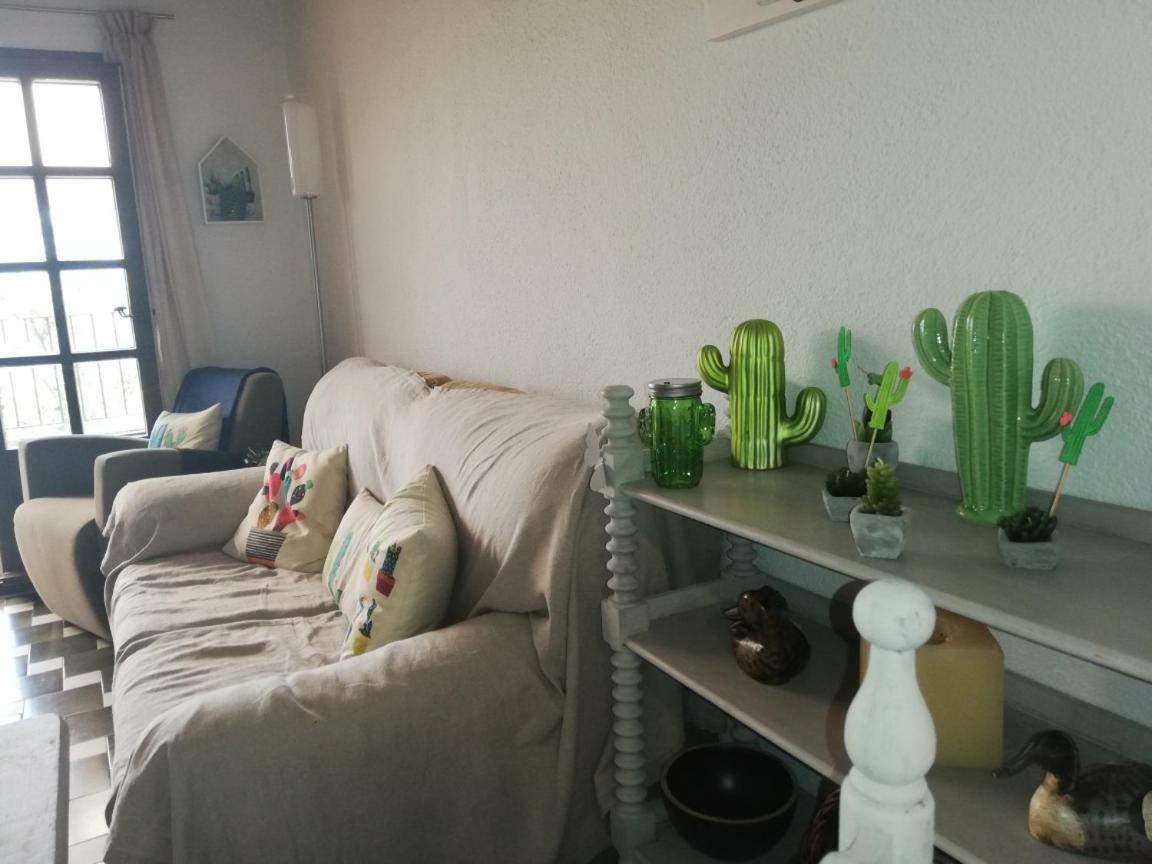 Can Cactus Гаригея Екстериор снимка
