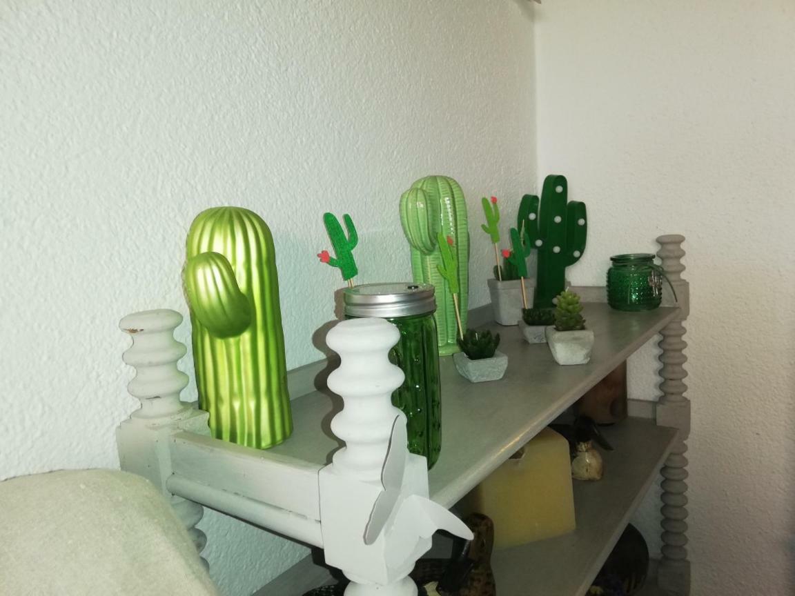 Can Cactus Гаригея Екстериор снимка